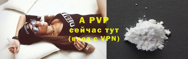 прущие грибы Абаза