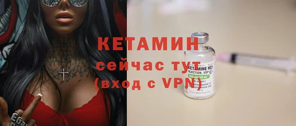 прущие грибы Абаза