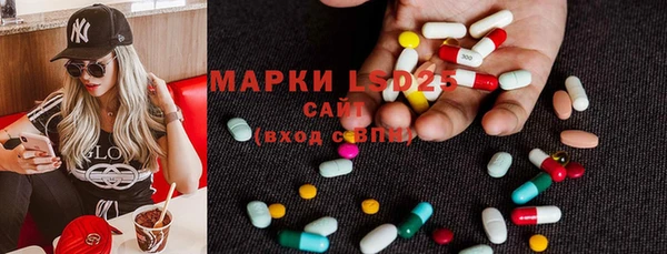 прущие грибы Абаза