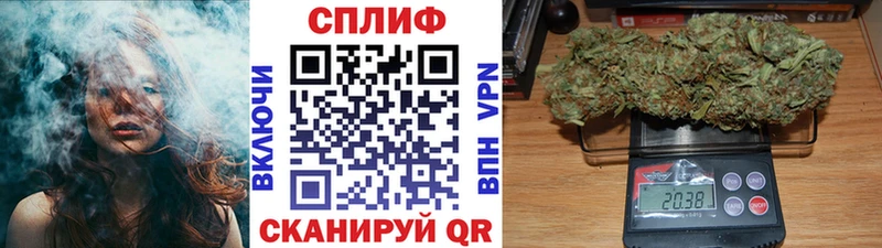 купить наркоту  Истра  Конопля ГИДРОПОН 
